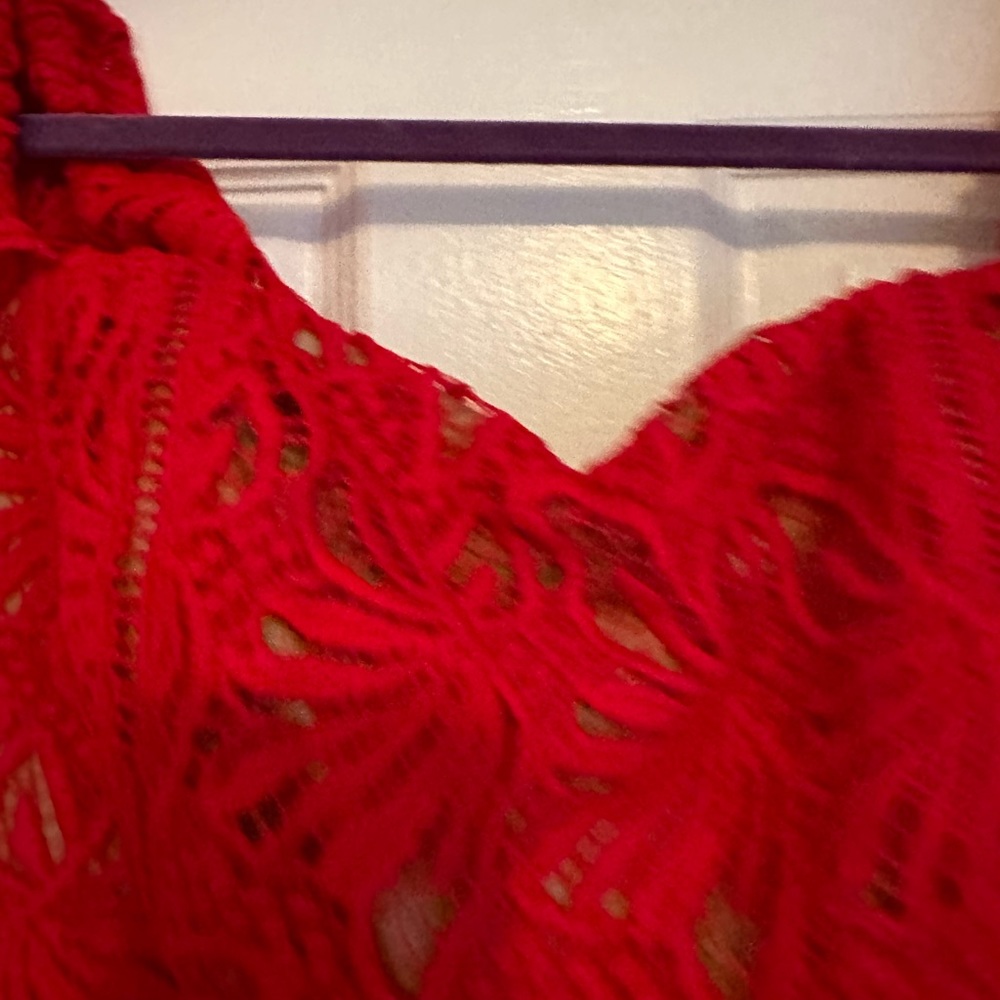 Red Lace Dress - Picture 3 of 12